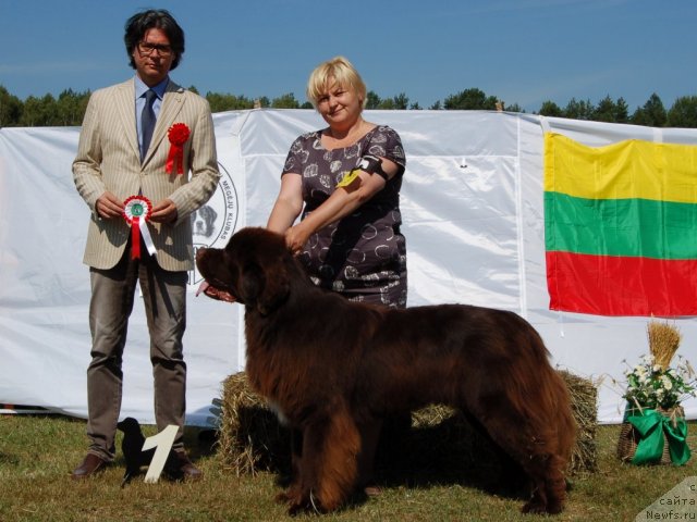 Фотография № 103179