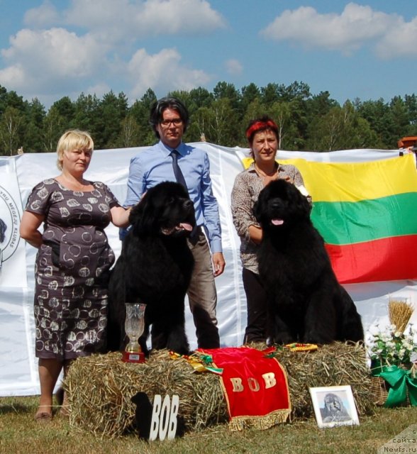 Фотография № 103194