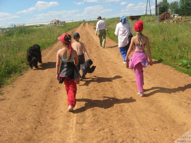 Фото: ньюфаундленд Aleksandriya Moya Radost' (Александрия Моя Радость)