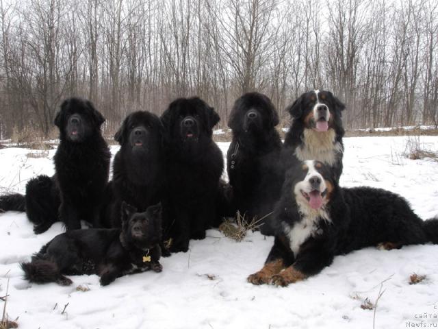 Фотография № 10323