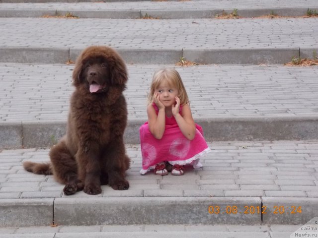 Фотография № 103252