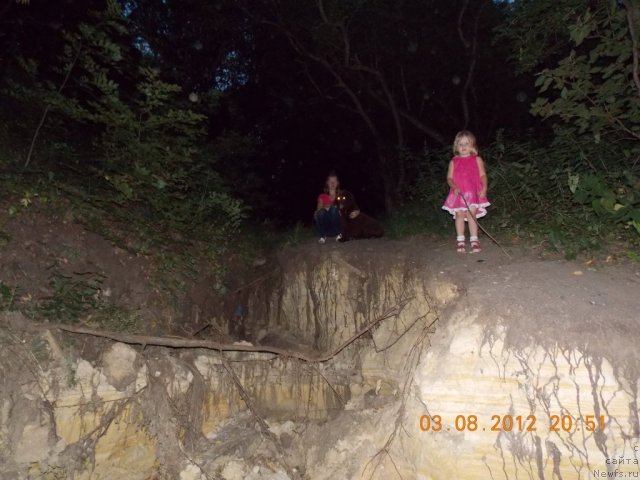 Фото: ньюфаундленд Hohotushka s Berega Dona (Хохотушка с Берега Дона)