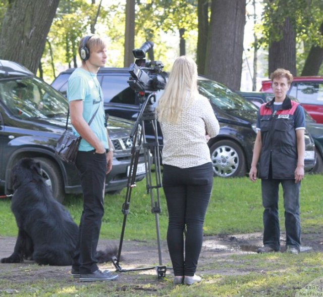 Фотография № 103275