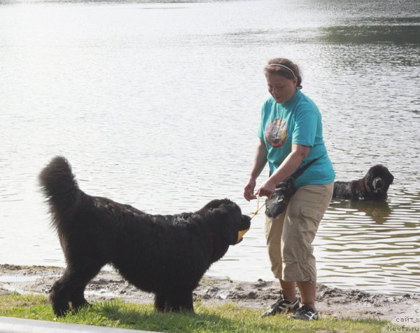 Фотография № 103302