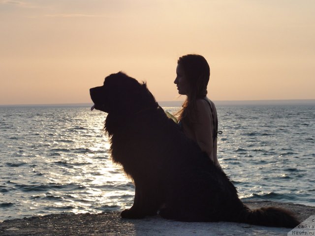 Фото: Irina Skladnova (Ирина Складнова), ньюфаундленд Ryesh (Рэш)