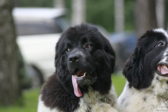 Фотография № 103495