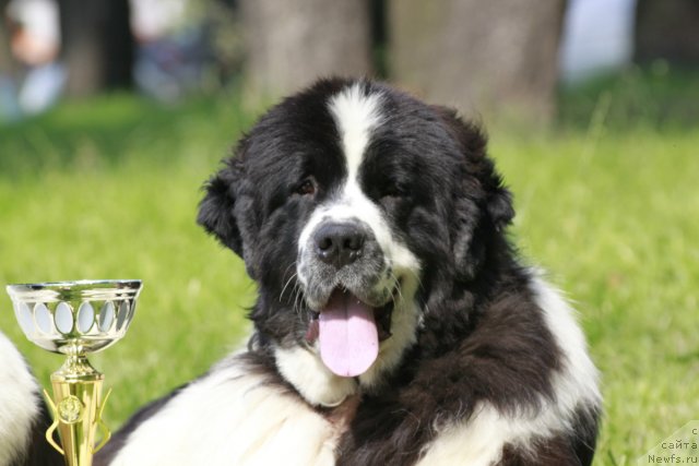 Фотография № 103497