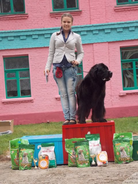 Фотография № 103565