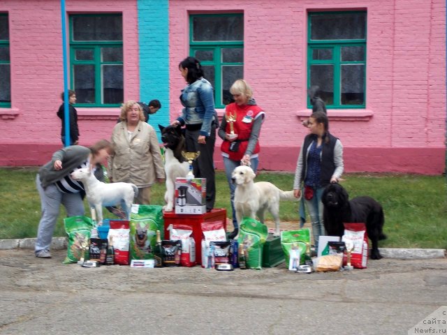 Фотография № 103566