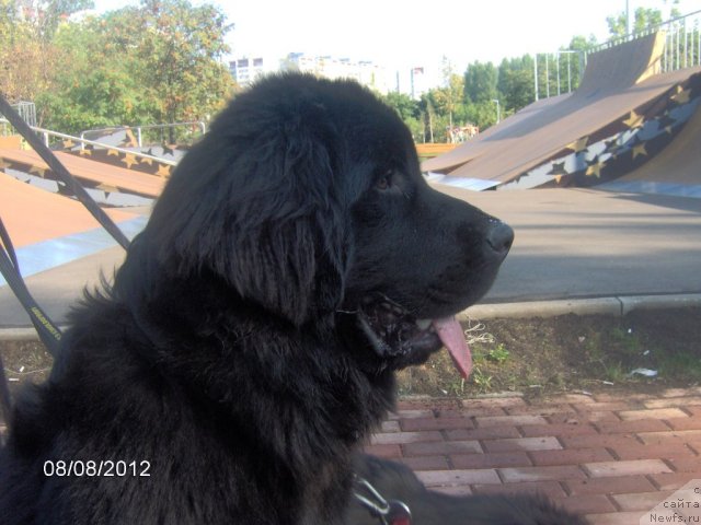 Фотография № 103577