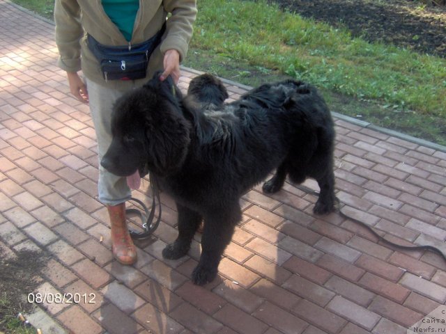 Фотография № 103579