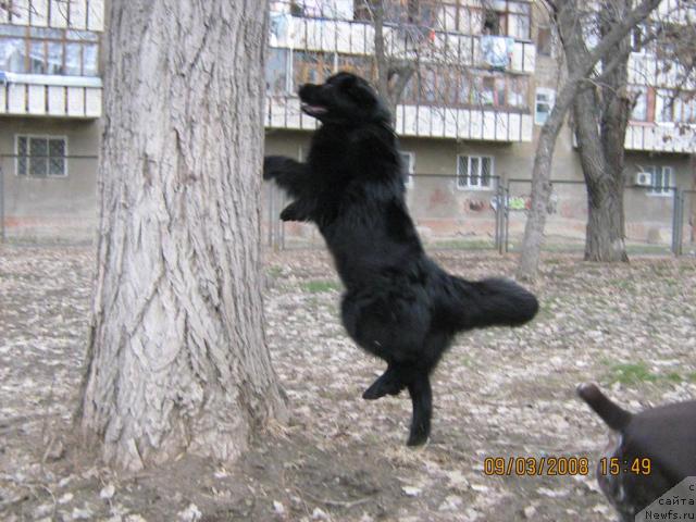 Фотография № 10358