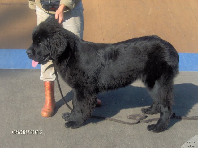 Фотография № 103580