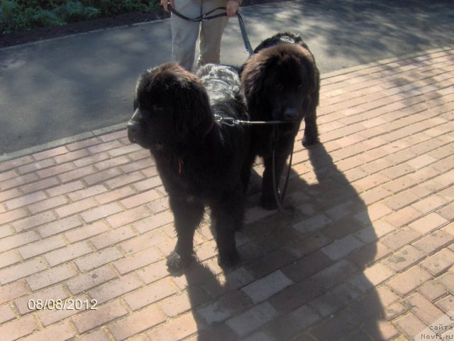 Фотография № 103581