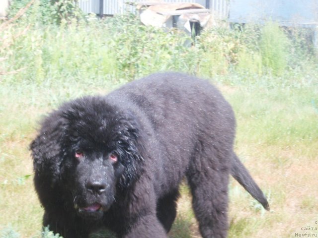 Фото: Valeriya Klimovich (Валерия Климович)