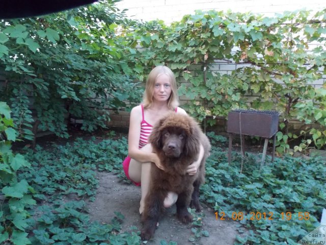 Фотография № 103632