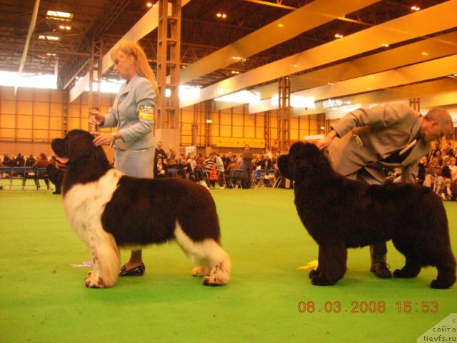 Фото: с лево на право Treponds play it again, Powerhouse Hugo Boss for Kodiak