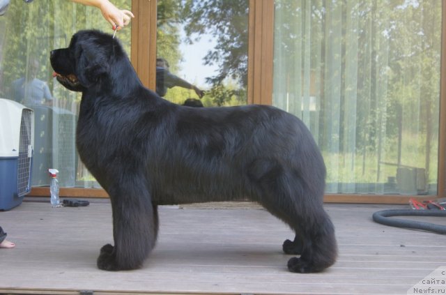 Фотография № 103789