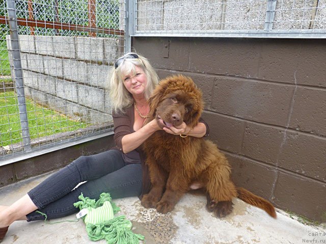 Фотография № 103845