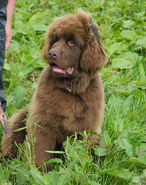 Фотография № 103846