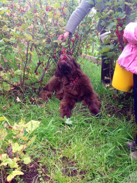 Фотография № 103851