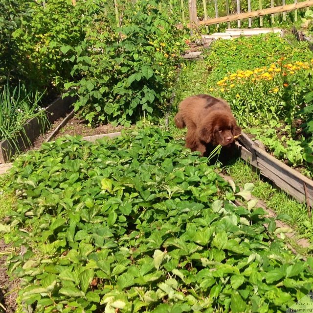 Фотография № 103852