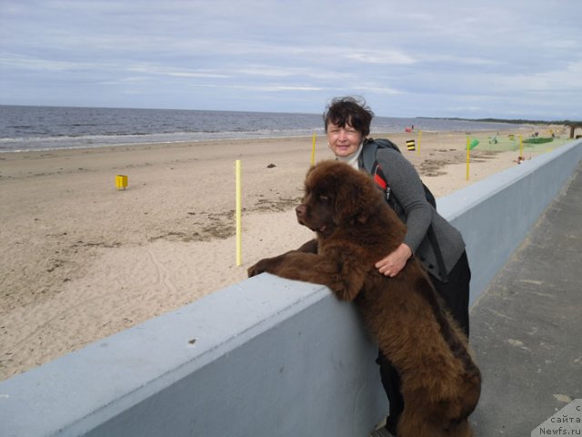 Фотография № 103854