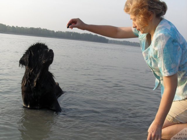 Фотография № 103880