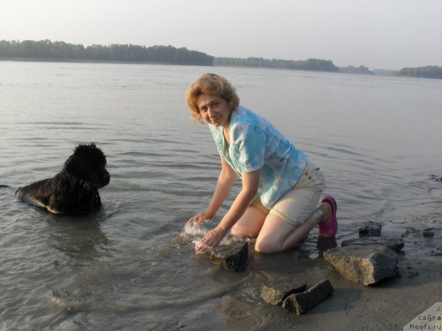 Фотография № 103882