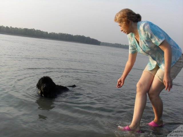 Фотография № 103883