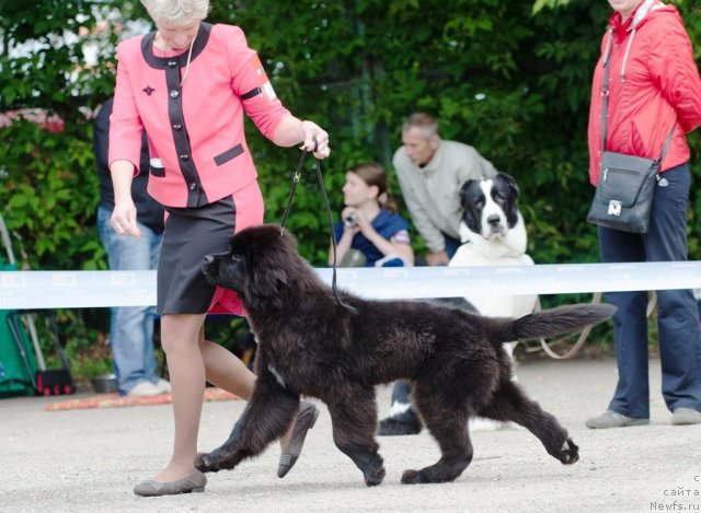 Фотография № 103894