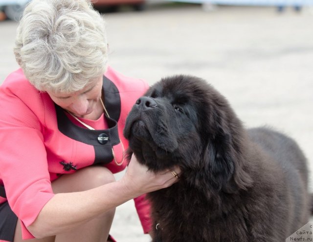 Фотография № 103895