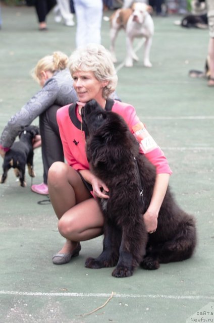 Фотография № 103896