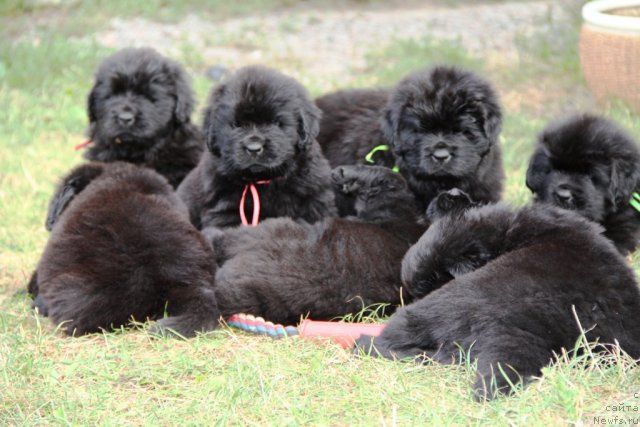 Фотография № 103902