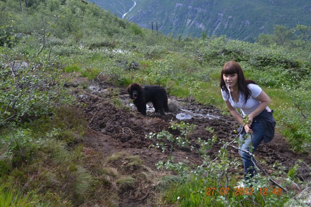 Фотография № 103984