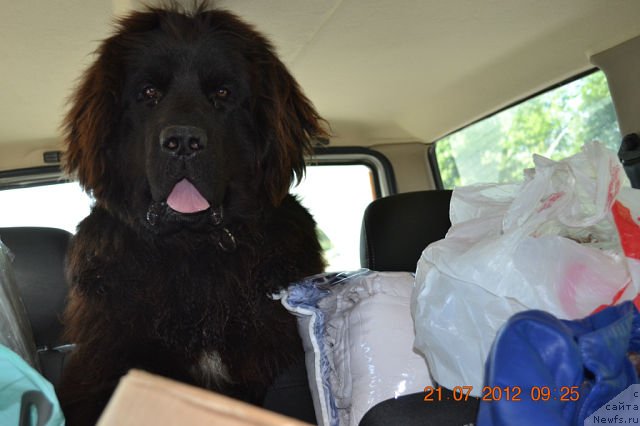 Фотография № 103986