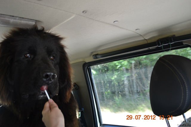 Фотография № 103988