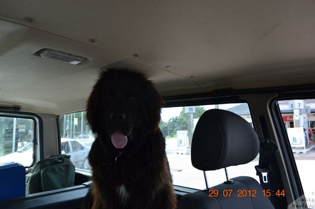 Фотография № 103990