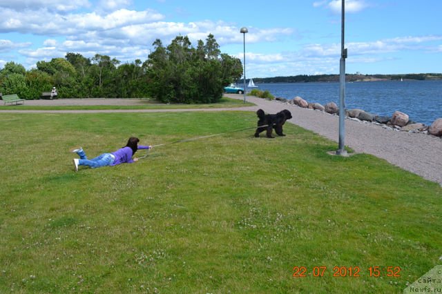 Фотография № 103991