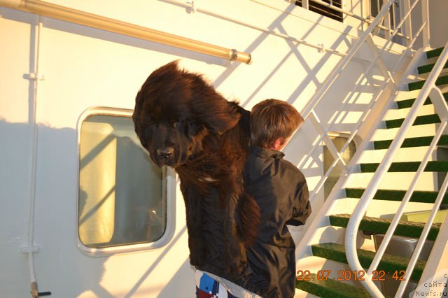 Фотография № 103992