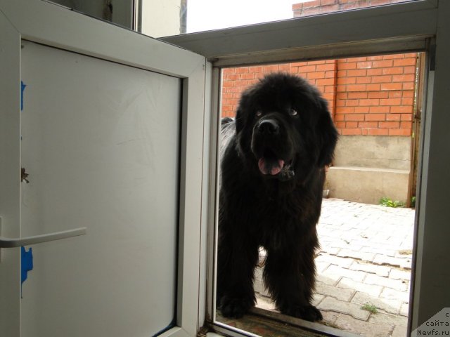 Фотография № 104003