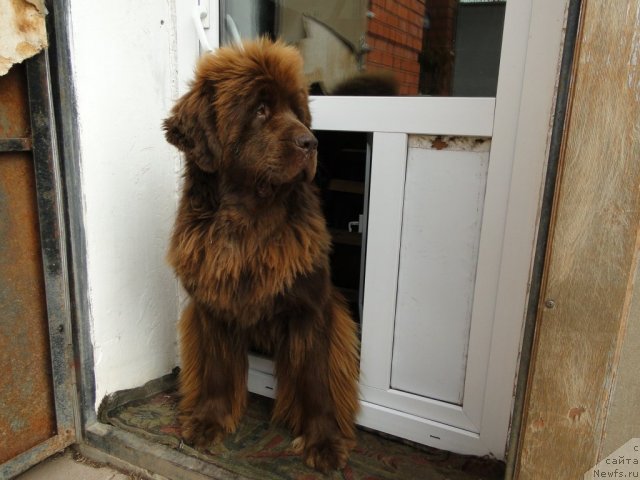 Фотография № 104004