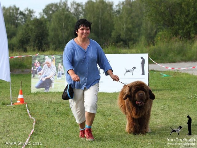 Фотография № 104008