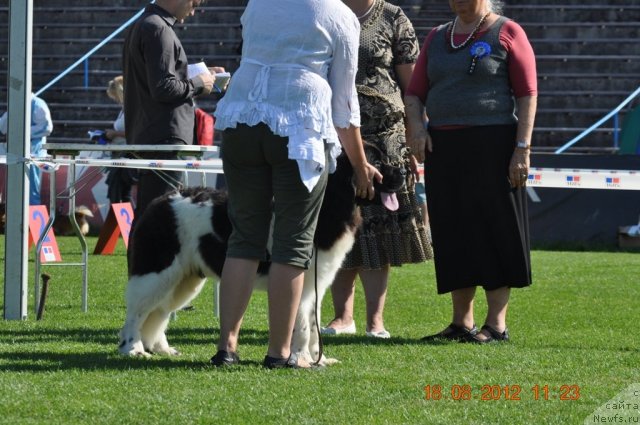 Фотография № 104063