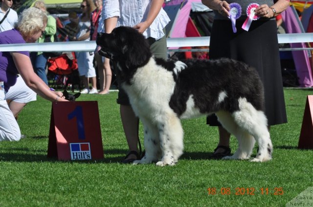 Фотография № 104067