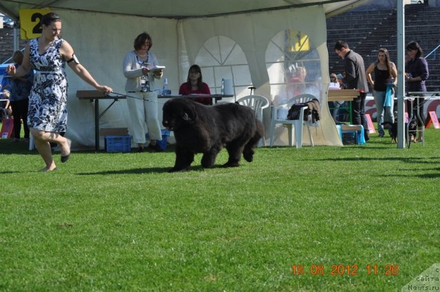 Фото: ASSOS OF THE DARK QUEEN CASTLE