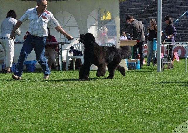 Фотография № 104070