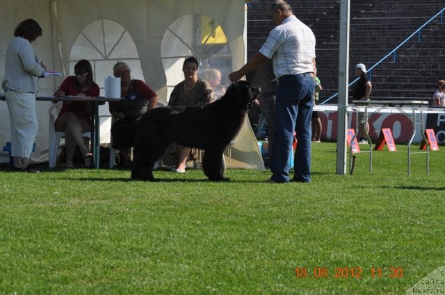 Фотография № 104071