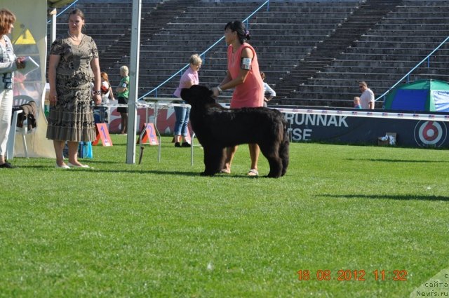 Фотография № 104073