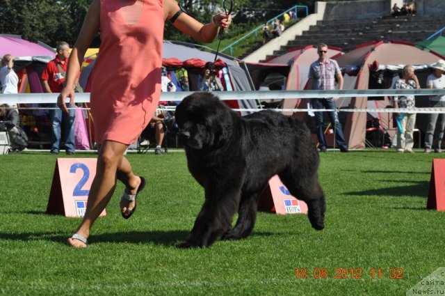 Фотография № 104074